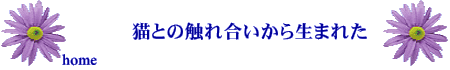 ẐƔL̎ʐ^W